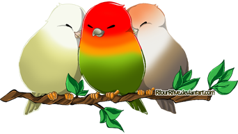 3 Happy Birds